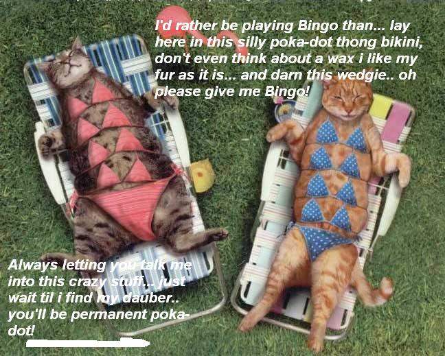 kittybikinibingo.JPG