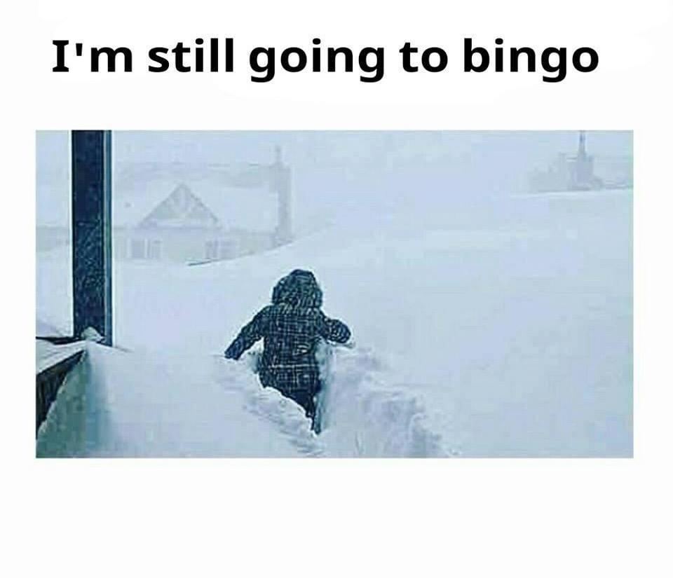 Bingo.jpg