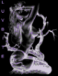 LUVBITE