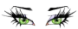 eyesofgreen